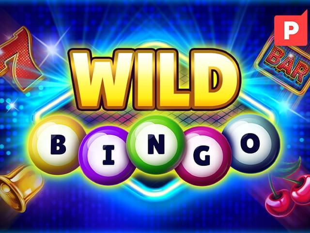 5d bet Bingo Selvagem